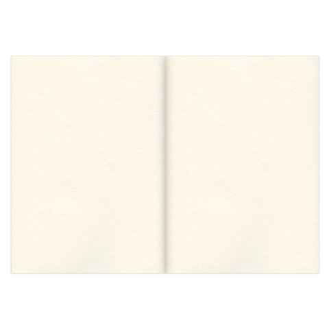 скетчбук, слоновая кость 100 г/м2, 148х210 мм, 120 л., прошивка, brauberg art classic, 128961