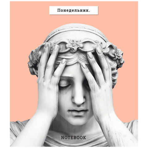 тетрадь а5 48 л., пзбм, скоба, клетка, soft touch, "ой, девочки" (5 видов), 24147