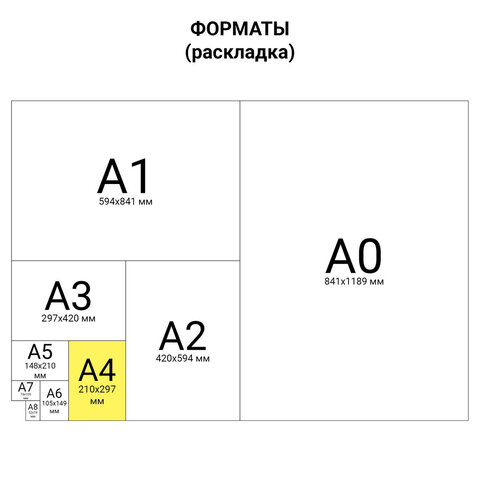 картон белый а4 немелованный (матовый), 8 листов, в папке, пифагор, 200х290 мм, "мишка на сноуборде"