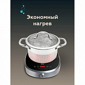 Настольная индукционная плита BQ (БИ-КЬЮ) HP121SS, 2400 Вт, 6 программ, электронное управление, сера