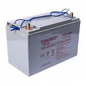 Аккумулятор Everest Energy TNE12-125 (12V-106AH/C5)