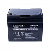 Аккумулятор Everest Energy TNE12-40 (12V-34AH/C5)