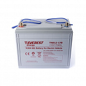 Аккумулятор Everest Energy TNE12-170 (12V-144AH/C5)