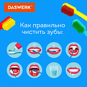 Зубные щетки, набор 6 штук, для взрослых и детей, СРЕДНЕ-МЯГКИЕ (MEDIUM SOFT), DASWERK (ДАСВЕРК), 60