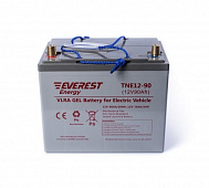 Аккумулятор Everest Energy TNE12-90 (12V-76AH/С5)