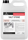 Salt Stone 5л. моющий концентрат против высолов на фасадах, Pro-Brite