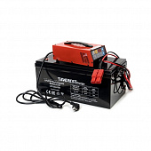 Зарядное устройство Everest Energy 24V 100 Amps. Lit Ion